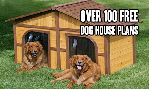 Dog House Online