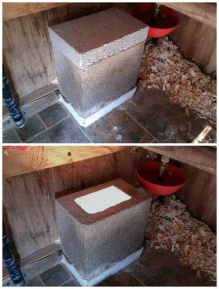 How To Build An Automatic Chicken Coop / Dog Kennel Heater ...