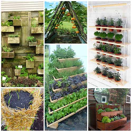 12 Amazing Vertical Gardening Ideas