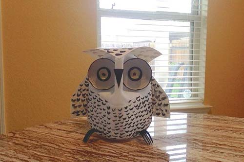 How To Make A Recycled Milk Jug Owl To Keep Birds Away ...