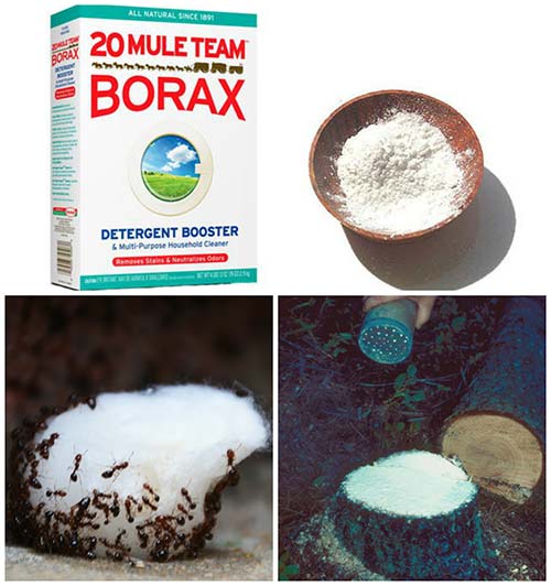 30 Little Known Uses For Borax