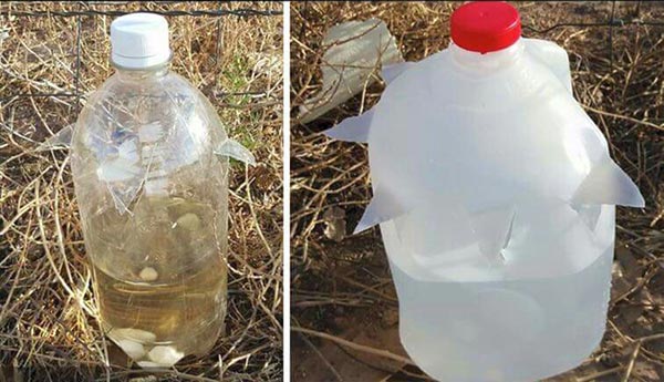 This Simple Trick Will Keep ALL Animals Away