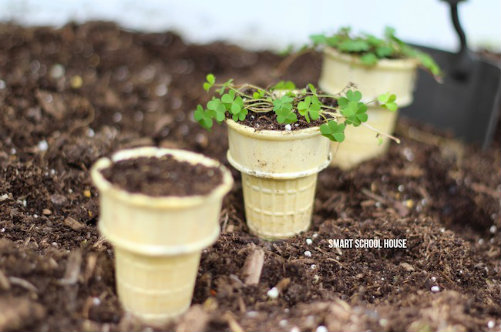 Ice Cream Cone Seedling Garden DIY