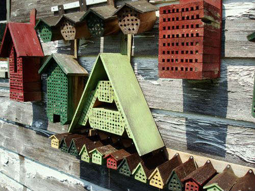 How To Attract Docile Mason Bees To Your Yard - Free Mason Bee House Plans