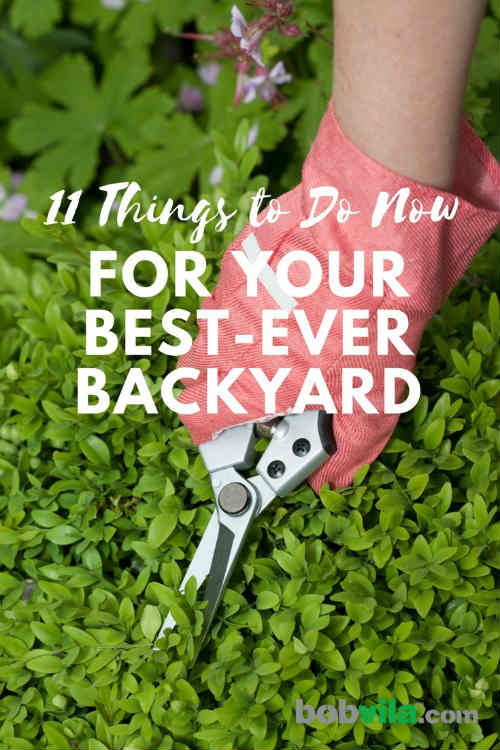 11 Things to Do Now for Your Best Backyard